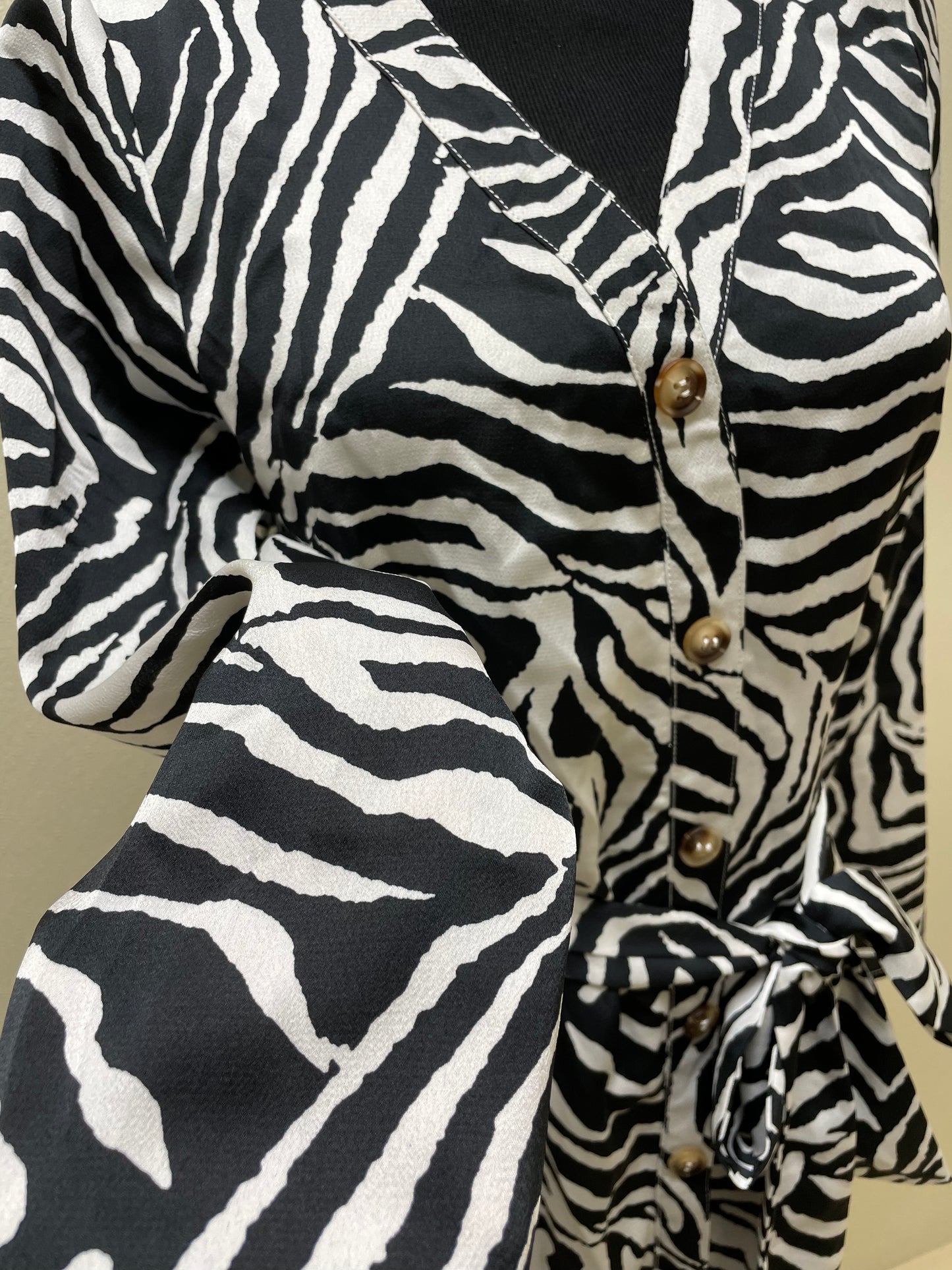 Zebra Satin Dress