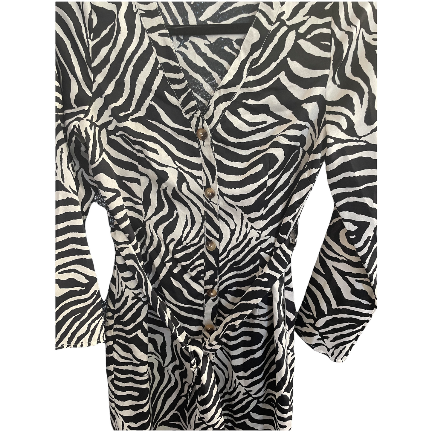 Zebra Satin Dress