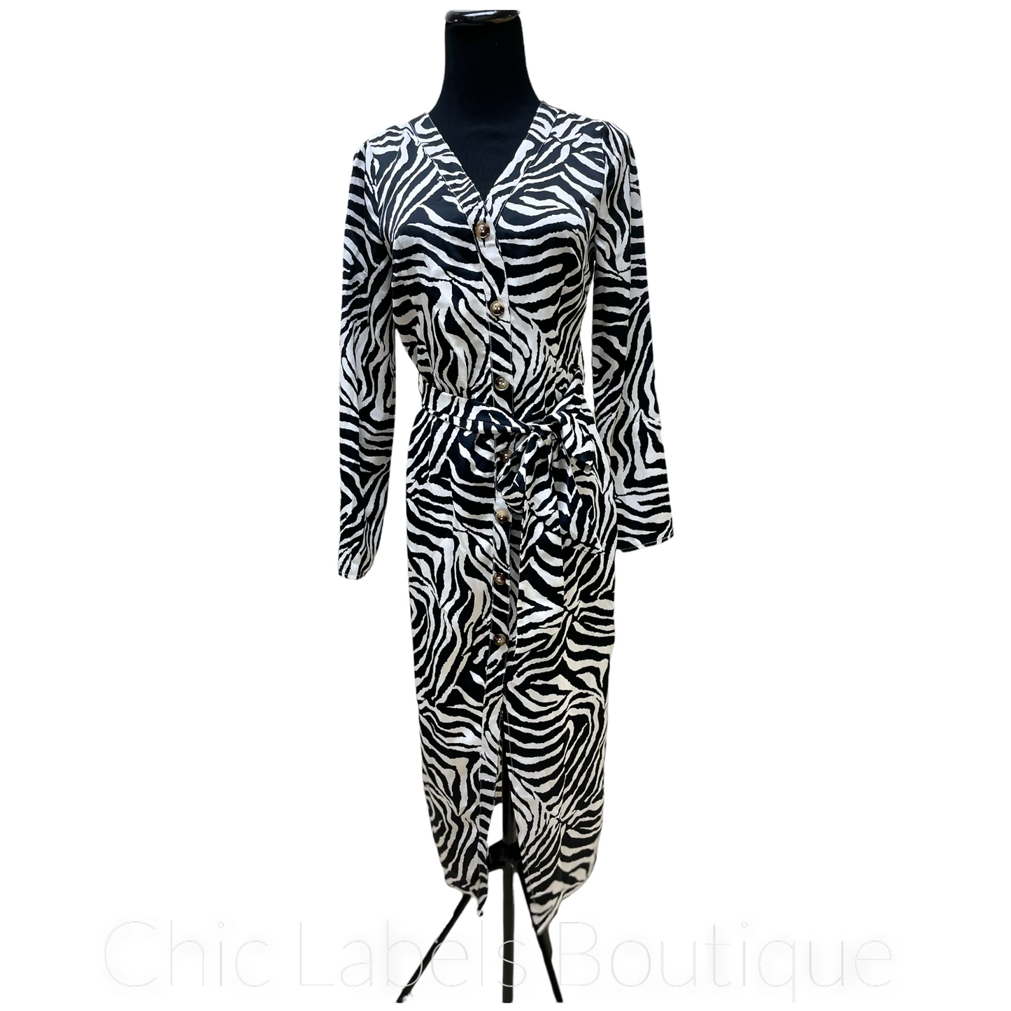 Zebra Satin Dress