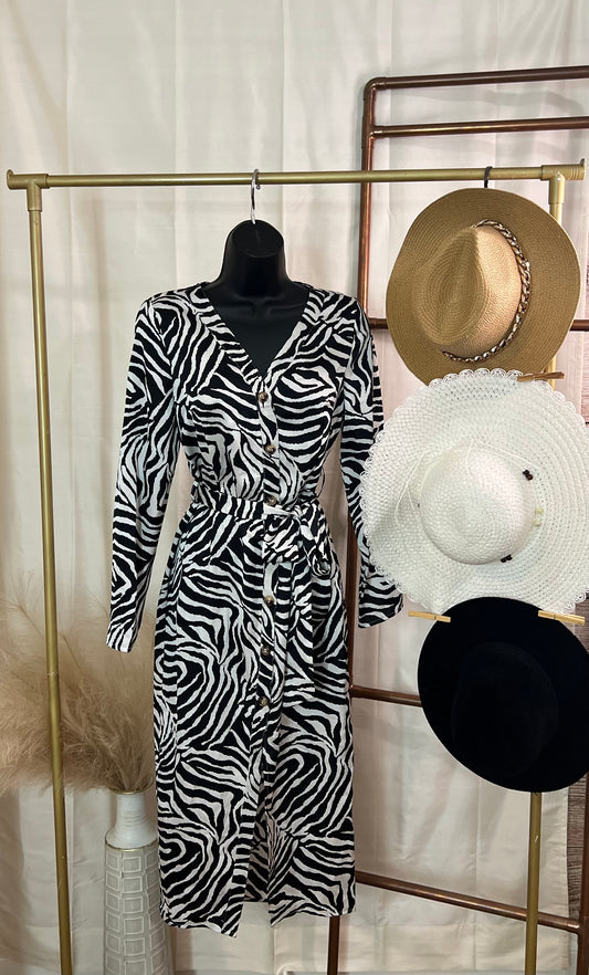 Zebra Satin Dress